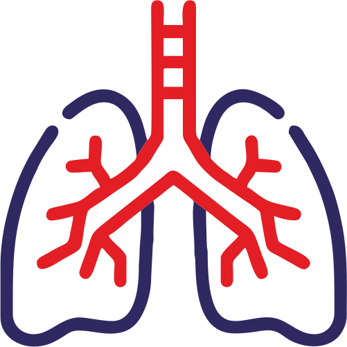 Pulmonary Medicine Bronchoscopy